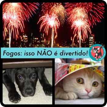 fogos2-copy1