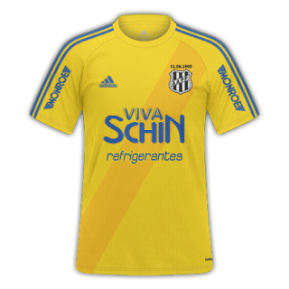 Ponte Preta Third 2015-2016