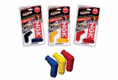 Terminais Coloridos_b